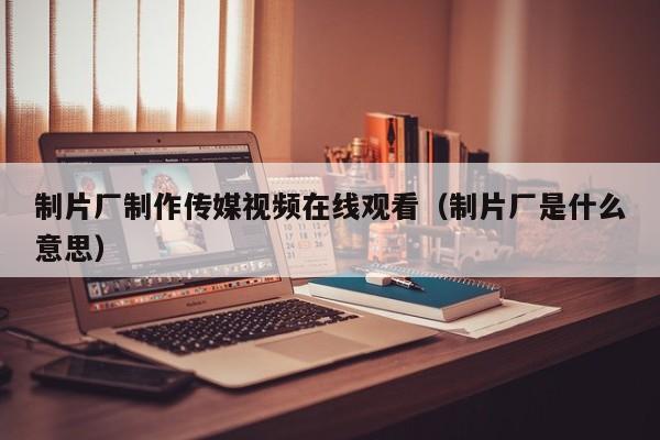 制片厂制作传媒视频在线观看(制片厂是什么意思)